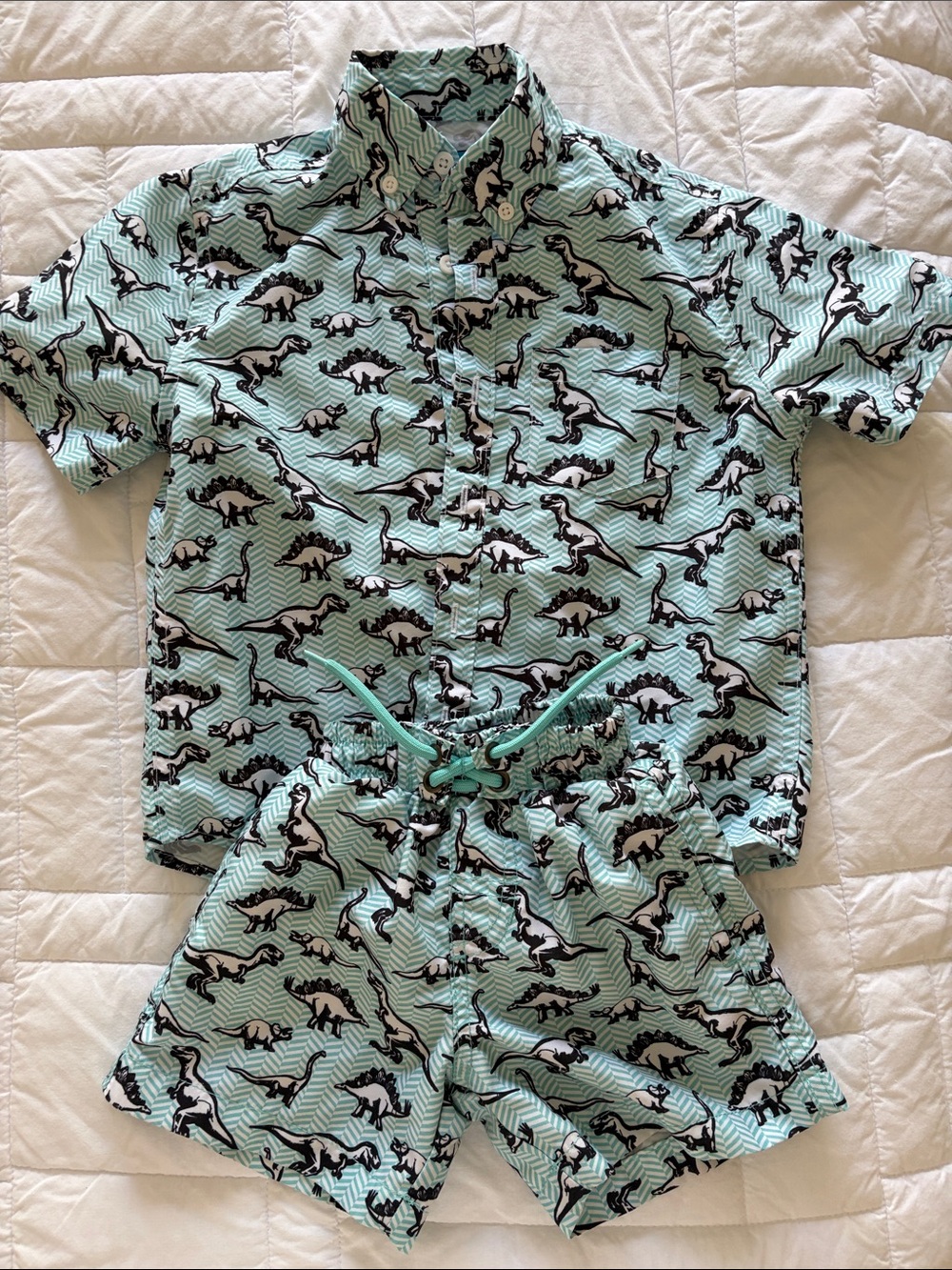 Kids Mint Dinosaur Swimming Suit– Short Sleeve Top & Shorts